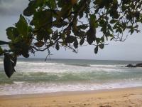 JASMINE White House Restaurant & Spa - B&B Dikwella