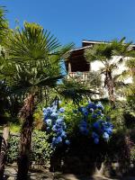Casa Scerina - Bed and Breakfast