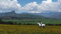 B&B Underberg - Dragons Landing Guest Farm - Bed and Breakfast Underberg