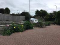 Kiki’s Corner - B&B Newquay