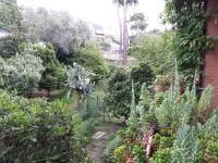 B&B Papa Leone Countryrooms - B&B Roma