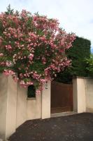 Gite des Taillades - B&B