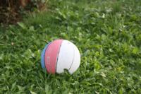 Jawa Organik - B&B Sontheim an der Brenz