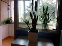 blue room - B&B Sofia