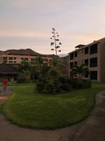 Marina Nopolo 104 - Ferienwohnung Nopoló