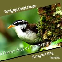 Deniyaya Guest House - Chambres d’hôtes Deniyaya