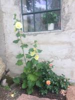 The Old Henhouse - B&B Tollarp