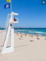 Flamenco I - B&B Alicante