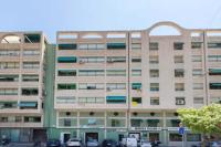 Flamenco I - B&B Alicante