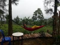 Hotel O Harumi Family Homestay - B&B Wonosobo