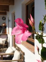 Appartamento 