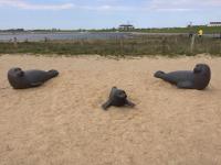 Pension Abendsonne - B&B Büsum