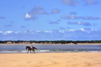 Casa Manzanilla - Bed and Breakfast