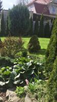 Triple Room with Garden View