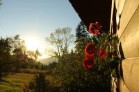 Chata Donovaly Buly 242/C - Ferienwohnung Donovaly