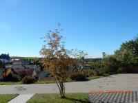 Ferienwohnung Fernblick - B&B Neukirchen vorm Wald