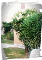 Corazón de Andalucía - B&B