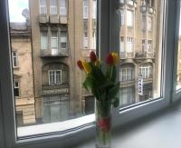 Апартаменти на Гнатюка 17 - Ferienwohnung Lwiw