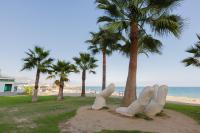 Picasso Daisy - B&B Fuengirola