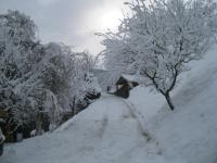 Camera Tripla Economy