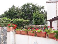 B&B San Vito Lo Capo - Villino Messina - Bed and Breakfast San Vito Lo Capo