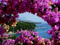 Villa BOSE - B&B Brela