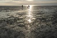 Appartement Strandstraße 10, Büsum - B&B Büsum