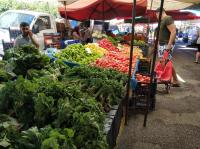One-Bedroom Apartment with Balcony and Mountain View  