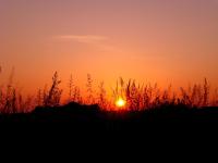 Appartamento con 2 Camere da Letto - Primo Piano