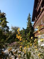 Ferienwohnung Reichmann - B&B Bodensdorf