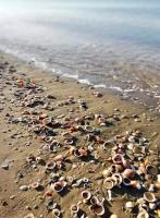 AzzurRomare Flat apartment - B&B Lido di Ostia