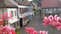 Haus Wasmuth - Ferienwohnung DORFPLATZ - B&B