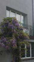 Willa Przy Plaży Gdynia Kamienna Góra - B&B