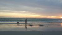 Pearly Tides - B&B