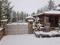 villa in Parnassos - B&B