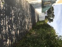 Buellis House - B&B Fregene