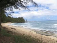 Elegant Turtle Bay Condo - B&B