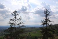 Mariani Bed&Breakfast - B&B Castellina in Chianti