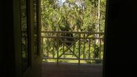 Whitsunday Heritage Cane Cutters Cottage - B&B Cannon Valley