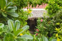 An Bang Purple Homestay - B&B Hoi An