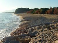 Cozzy flat in a quiet and nice area / Acogedor apartamento en zona tranquila y agradable - B&B