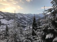 Landhaus Christina Alpbach - B&B Alpbach