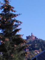 La Foret (1er etage)