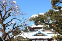 Kougetsu Sanso -- Moon Villa in Tokyo - Chambres d’hôtes