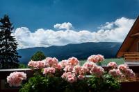 Apartamenty Home Sweet Home Na Górnej - B&B Szklarska Poręba