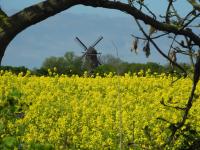 Zur Mühle Lemkenhafen auf Fehmarn - B&B Fehmarn