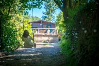 Little Kestrel Cabin - B&B Pennal