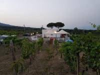 Tenuta sul Vesuvio " Il Vigneto " - B&B