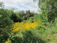 Holiday Home Holmehøj - B&B Ebeltoft