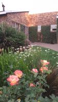 Gemsbok Cottage - Bed and Breakfast